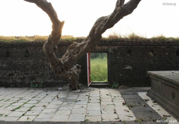 Photograph Ashish Shah  A Beautiful Place To Relax on One Eyeland